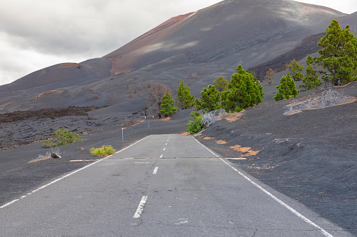 Palma volcanic Eruption. El Paso.

Burnt trees, and ashes on the road.