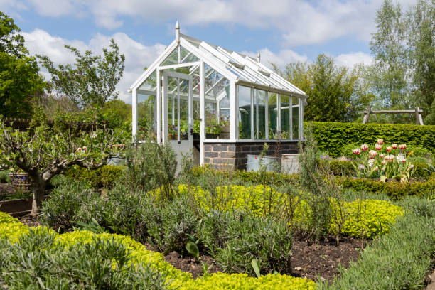 a garden plot with seedbeds and a glass greenhouse in the centre of kitchen garden. - seedbed imagens e fotografias de stock