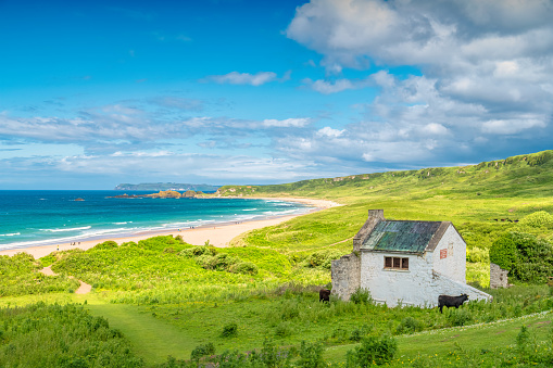 White Park Bay Beach, a beautiful sandy beach in Northern Ireland on a sunny day.