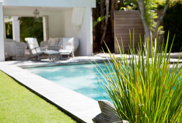 istock Plant and swimming pool in backyard 169271406