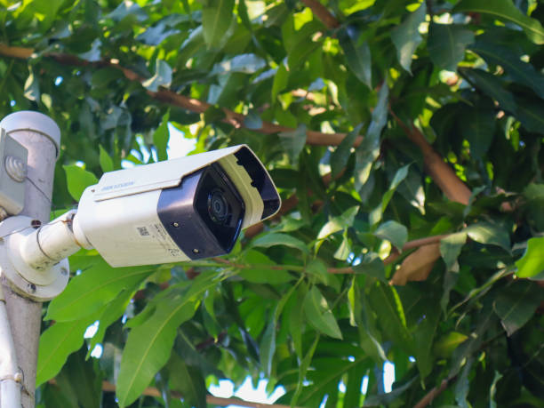 istock CCTV camera installed on a pole in an outdoor park 1692719203