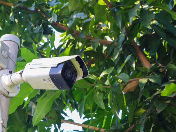 istock CCTV camera installed on a pole in an outdoor park 1692719204