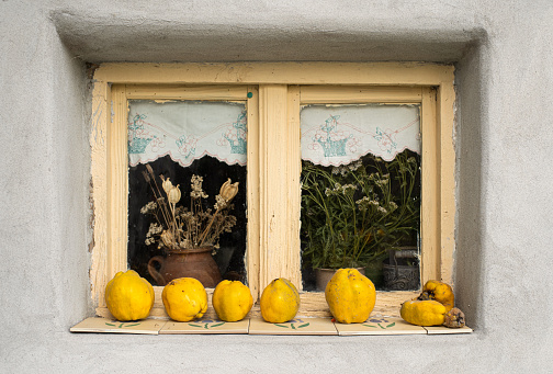 An antique vase sits in sunlight coming through an old farm house window.