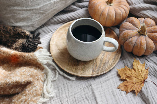 istock Fall feminine styled composition. Autumn breakfast still life. Cozy Halloween, Thanksgiving scene with cup of coffee, wool blanket, maple leaf and pumpkins. Grey muslin table cloth background. Flatlay 1692734763
