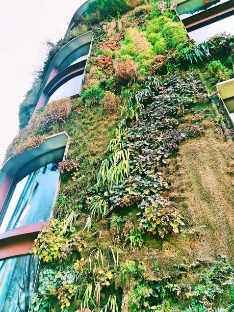istock Green house in paris 1692763142