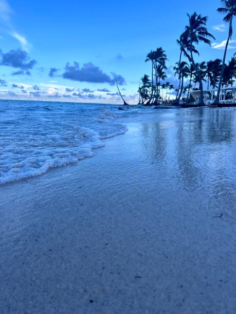 istock Capcana beach Dominican Republic 1692794379
