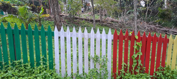 istock Multi colored rainbow wooden fence in garden background 1692827242