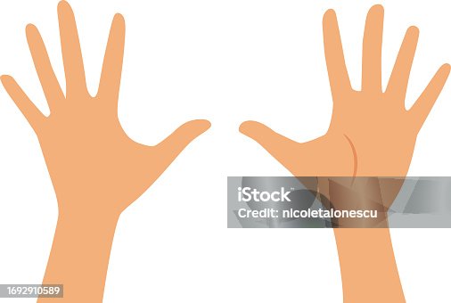 istock Back and Front of a Hand Vector Illustration Set 1692910589