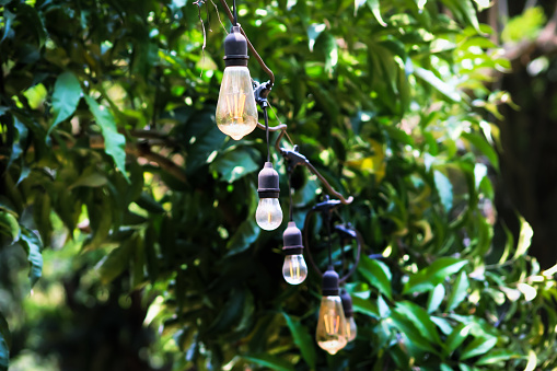 The concept of a garden area that uses hanging lights as a means of lighting.