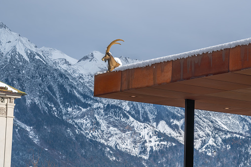 Innsbruck, Austria - Nov 14, 2019: Ibex Detail at Tyrol Panorama Museum Facade - Innsbruck, Austria