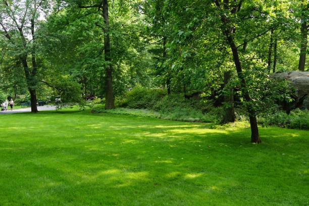 istock New York Botanical Garden 06-24-2016 1692990318