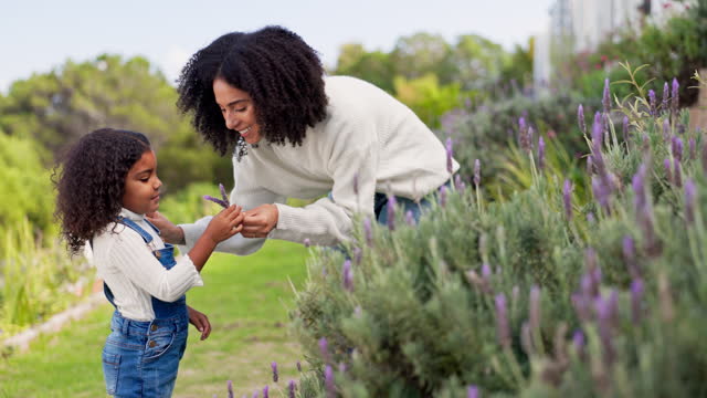 Mother, girl and giving lavender flowers in garden, bonding and happy together. African mom, child and learning plants for growth, teaching and floral gift for education in spring in the countryside.