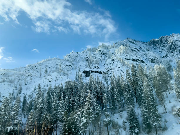 istock View of bright sunny weather deep in Stevens Pass during winter 1692995661