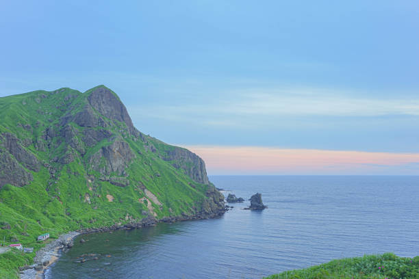 Momodai Nekodai in Rebun island