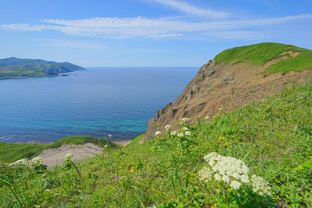 istock Rebun island cape 1693017153