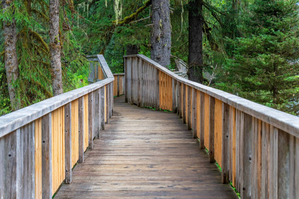 istock Elevated Walkway, Fish Creek, Alaska, USA 1693084381
