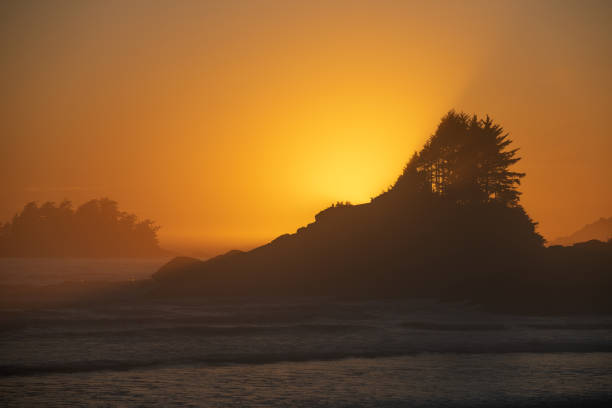 istock Cox Bay Beach Sunset, Tofino, Canada 1693085462