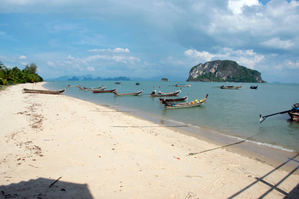 istock Local fisher boats 1693105451
