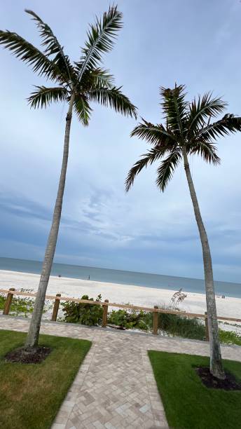 istock A DAY AT THE BEACH RESTORES THE SOUL 1693116424