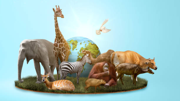 World Animal Day