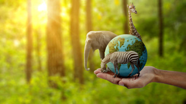 istock World Animal Day 1693137960