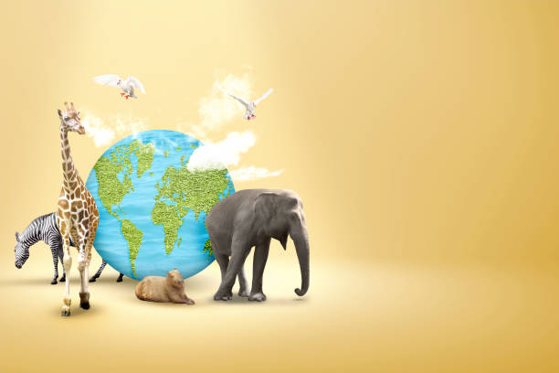 istock World Animal Day 1693138508