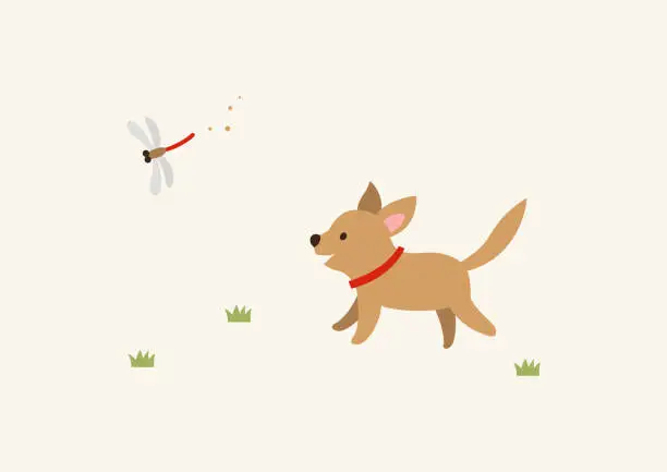 Vector illustration of A cute dog running along a red dragonfly. Animals illustration.