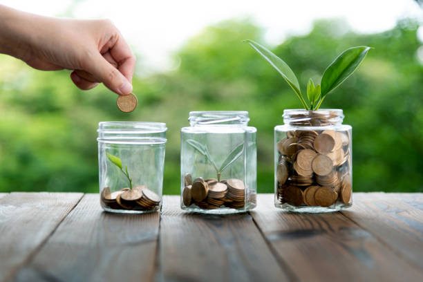 istock Young plant growing from coin jar 1693203379