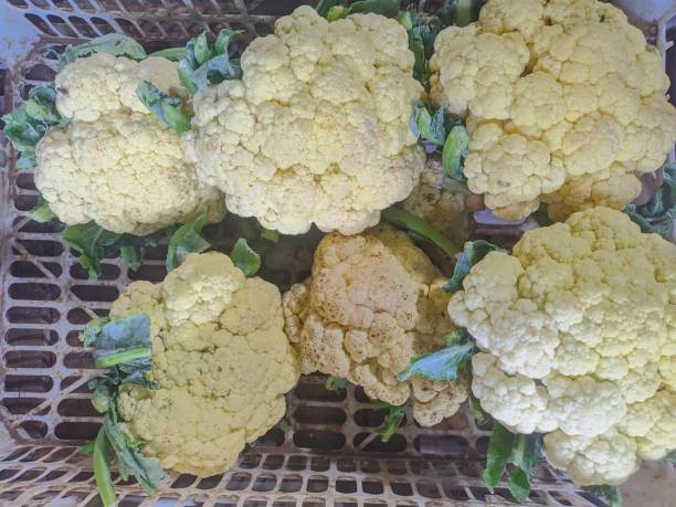 istock Cauliflower is for sale and there are only six left 1693213210