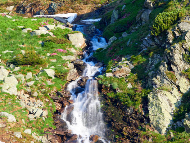 A small mountain stream flows through the stones on the slope