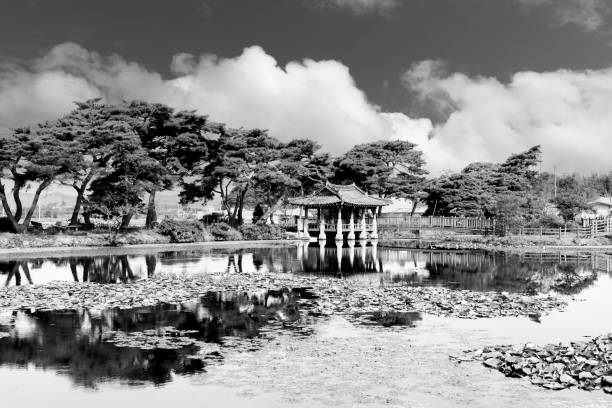 Pine trees and pavilions in the reservoir (September 5, 2023, reservoir in Wongok Village, Hampyeong-gun, Hampyeong-gun, Jeollanam-do, Korea)