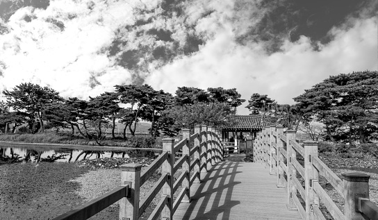 Pine trees and pavilions in the reservoir (September 5, 2023, reservoir in Wongok Village, Hampyeong-gun, Hampyeong-gun, Jeollanam-do, Korea)