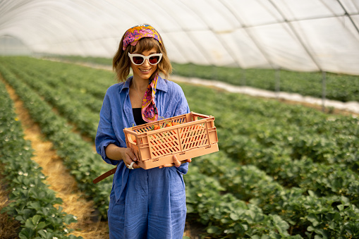 Portrait of a young stylish woman standing with basket full of fresh picked up strawberries in hothouse at farm. Organic local berry growing and farming concept