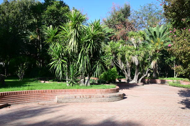 istock Maria Luisa park in Seville, Spain 1693285452