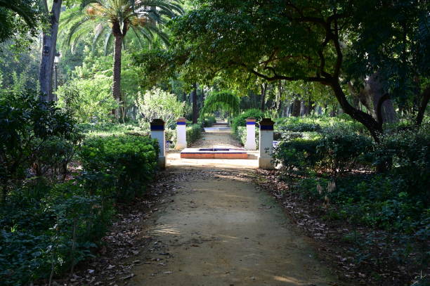 Maria Luisa park in Seville, Spain