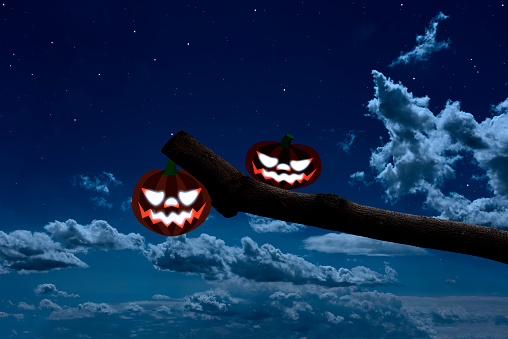 Dead tree and Jack O' Lanterns against a spooky sky with copy space.