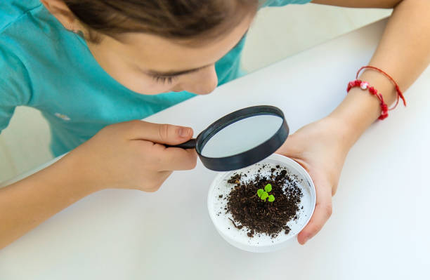 istock A child examines a plant under a magnifying glass. Selective focus. 1693307892