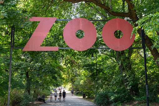 ZOO Polish. Word signboard. Sign entrance. Alley in a green park among the trees. Warsaw, Poland - July 28, 2023.