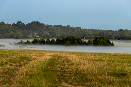 Foggy morning on the meadow in the countryside in summer