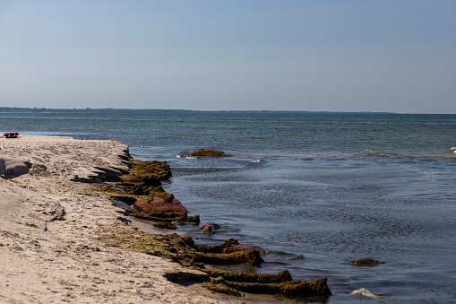 View of the Baltic Sea from the beach in summer