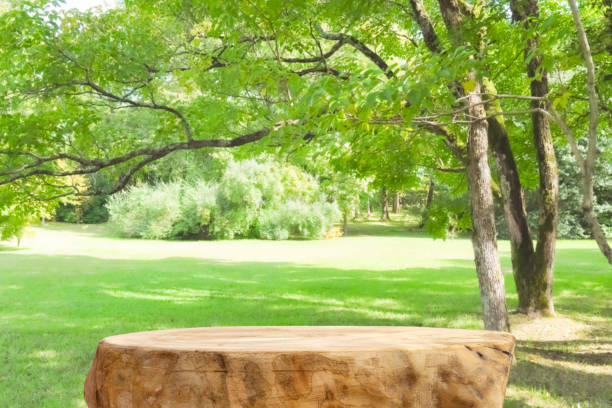 istock Blank tree stump table top on blurred green garden background 1693366196