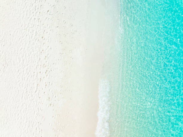 istock Beach Wave water in the Tropical summer beach with  sandy beach background 1693373128