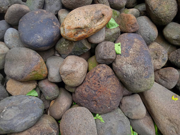 istock a collection of large and small rocks for the background 1693373503