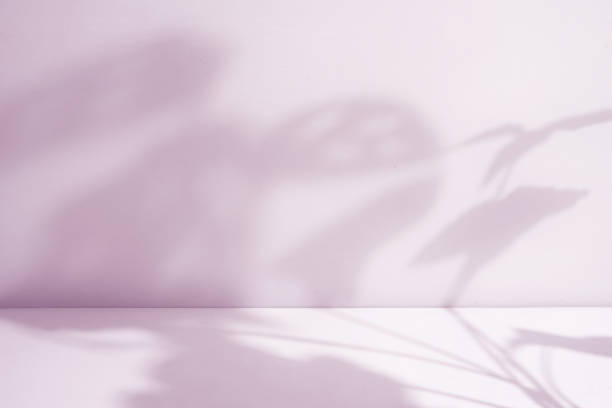 istock pink room with houseplant shadow 1693374250
