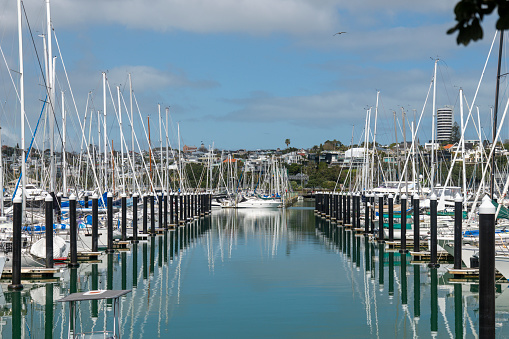 Westhaven Marina in Central Auckland, New Zealand