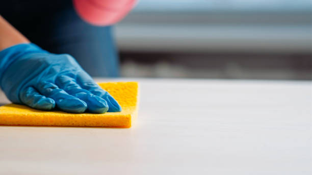 istock Cleaning company services hand gloves table sponge 1693389005