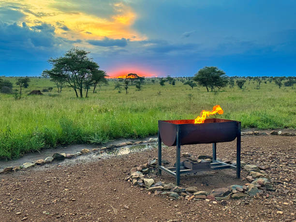 istock Campfire in the evening in the Serengeti 1693411755