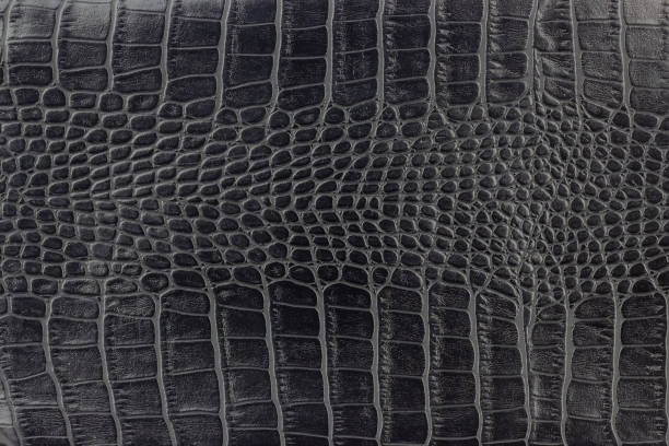 istock crocodile skin background, snake skin texture, black leather background 1693428807