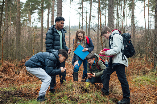 Full length in Rothbury's woodlands, a group of male student teenagers are on an educational walk. They explore nature, blending lessons with the outdoors. They are standing in a circle smiling while using a smartphone to take pictures and inspect the forest floor.