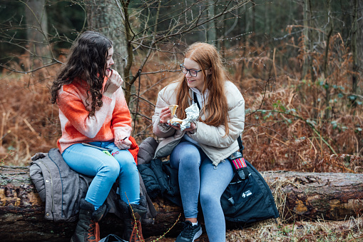 Close-up front view in Rothbury's woodlands, two female student teenagers are on an educational walk. They explore nature, blending lessons with the outdoors. They are sitting on a wooden log while they have their lunch break.